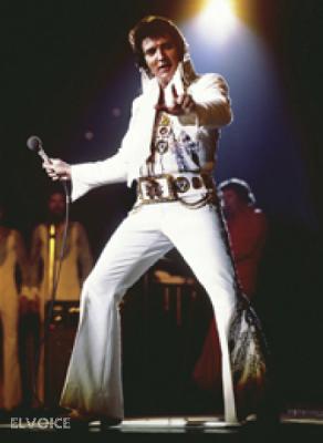Ed Bonja Elvis Poster